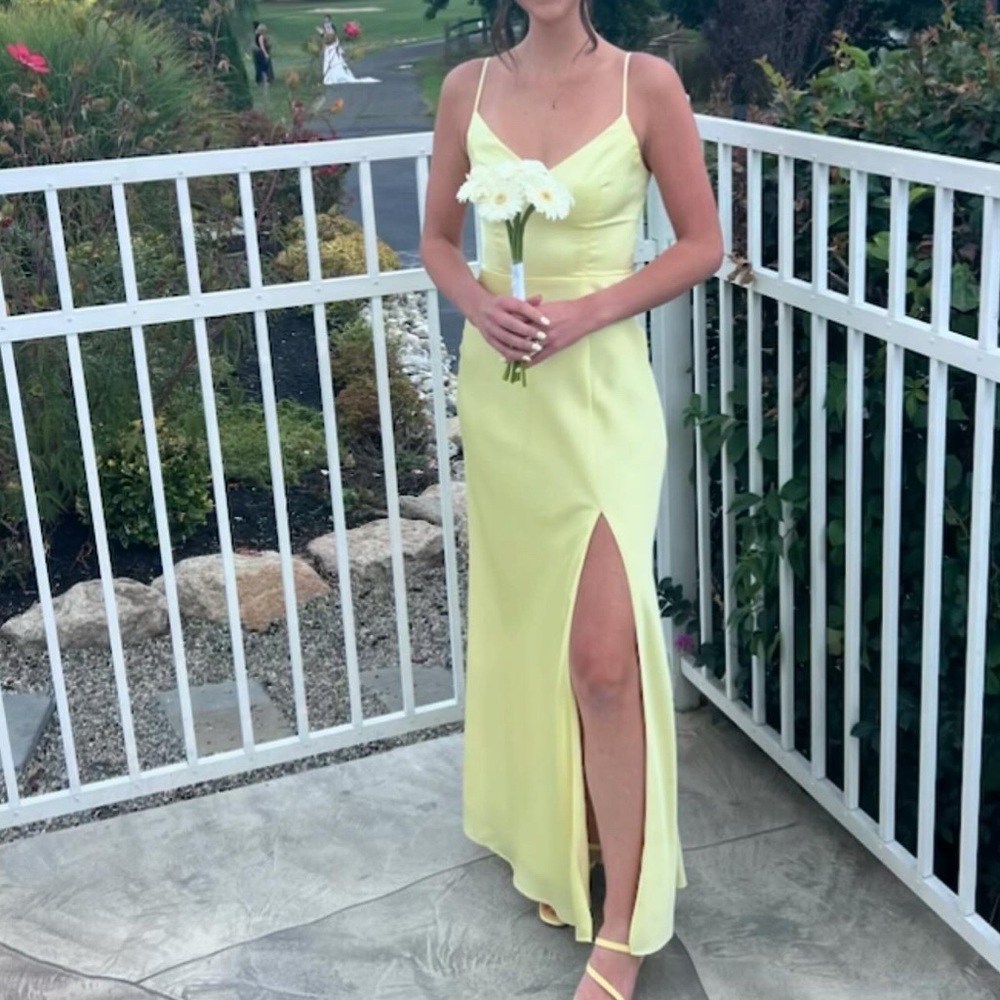 Birdy grey Jay Dress
Matte Satin Lemon Sorbet